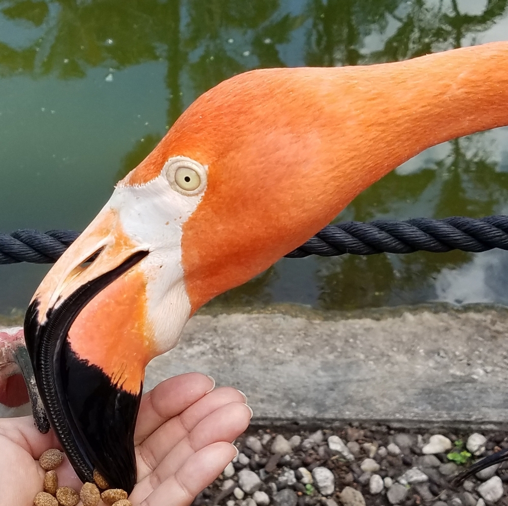 Women's top quality clothing,shoes, designer handbags and some men's clothing